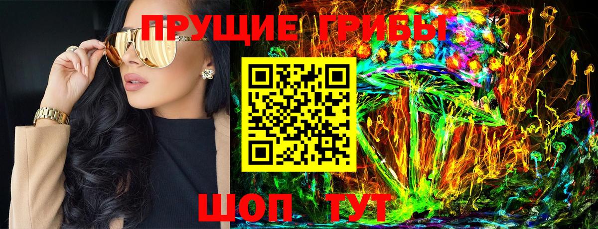Псилоцибиновые грибы GOLDEN TEACHER Чернушка