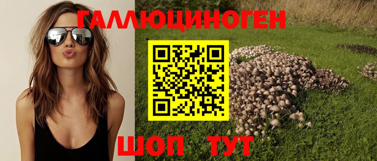 Псилоцибиновые грибы Psilocybe  Вход с VPN  Чернушка 
