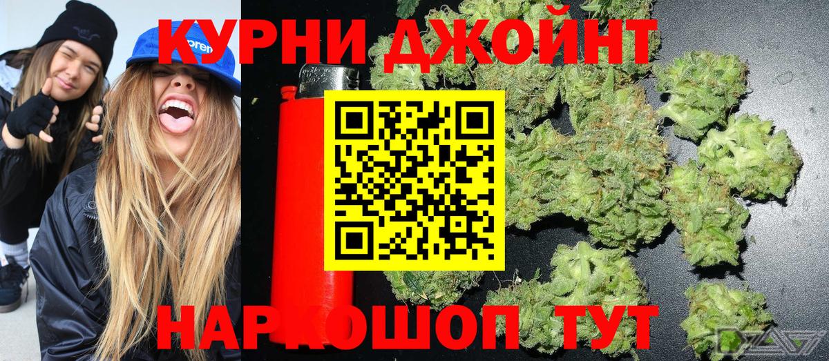 Бошки Шишки MAZAR Чернушка